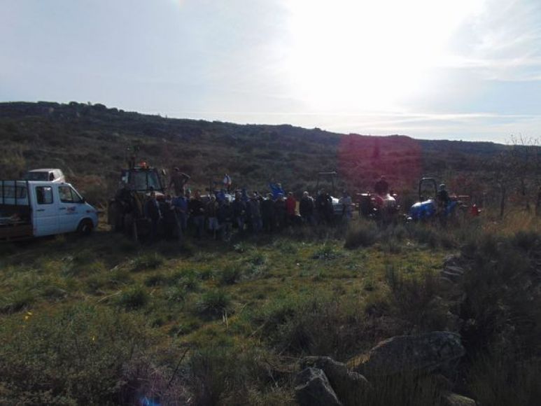 Trabalho Volunt&aacute;rio - Corta Fogos