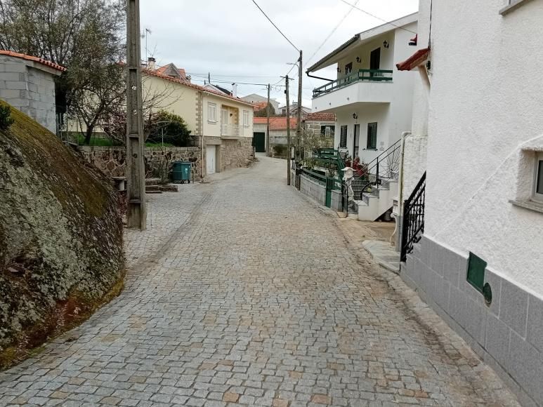 Calcetamento em cubos da primeira fase na Rua da Lage