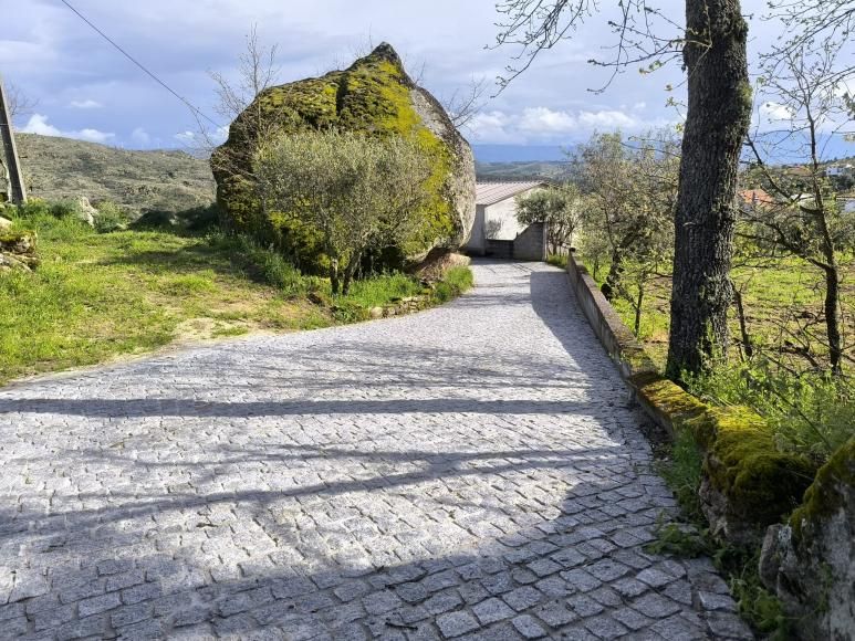 Inaugura&ccedil;&atilde;o dos &uacute;ltimos calcetamentos na nossa Freguesia