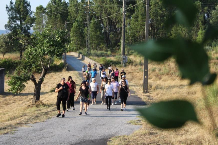 3&deg; Caminhada dos Av&oacute;s