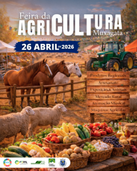 IV Feira da Agricultura 