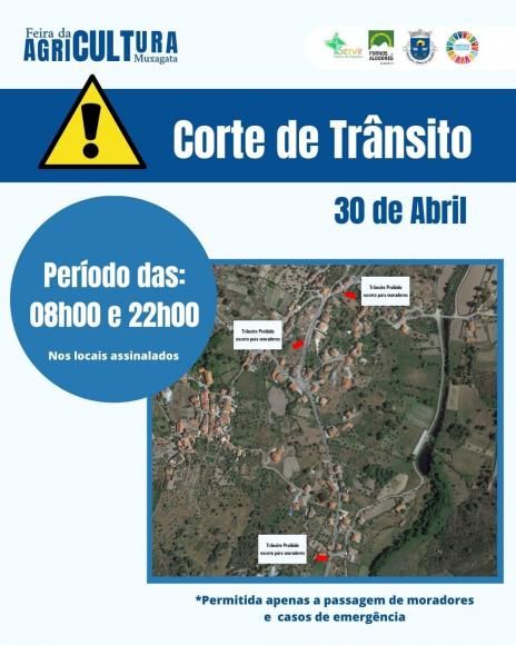 Corte de Tr&acirc;nsito