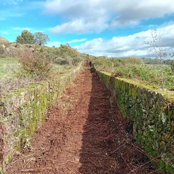 Limpeza e melhoramento do caminho do Carvalhal que liga &agrave; Aldeia da Mata