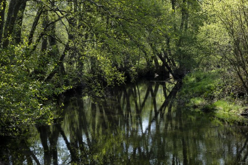Esta&ccedil;&atilde;o da Biodiversidade - Ribeira da Muxagata