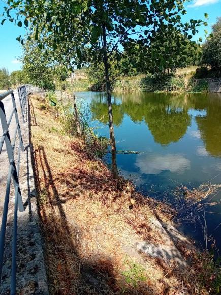 Limpeza Controlada Ribeira da Muxagata